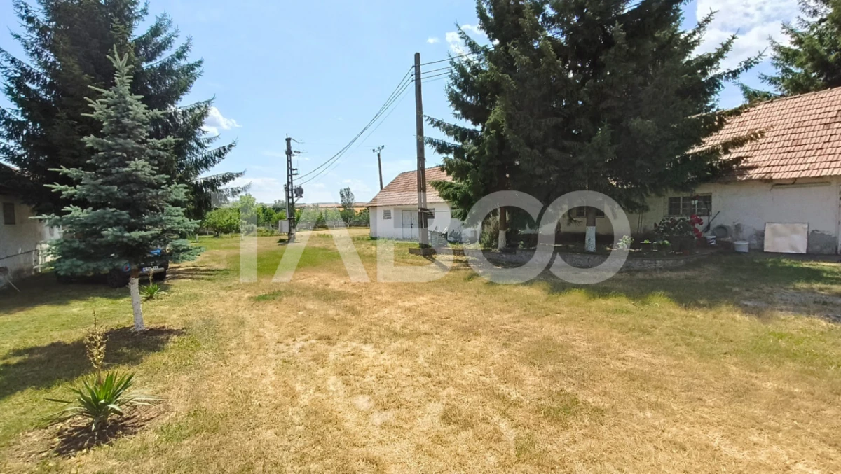 Platforma industriala cu cladiri de vanzare in Salistea de Alba - 2