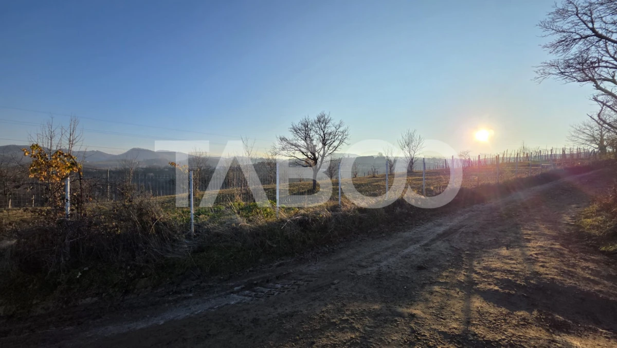 Teren 1974 mp intravilan de vanzare in Loman judetul Alba - 5