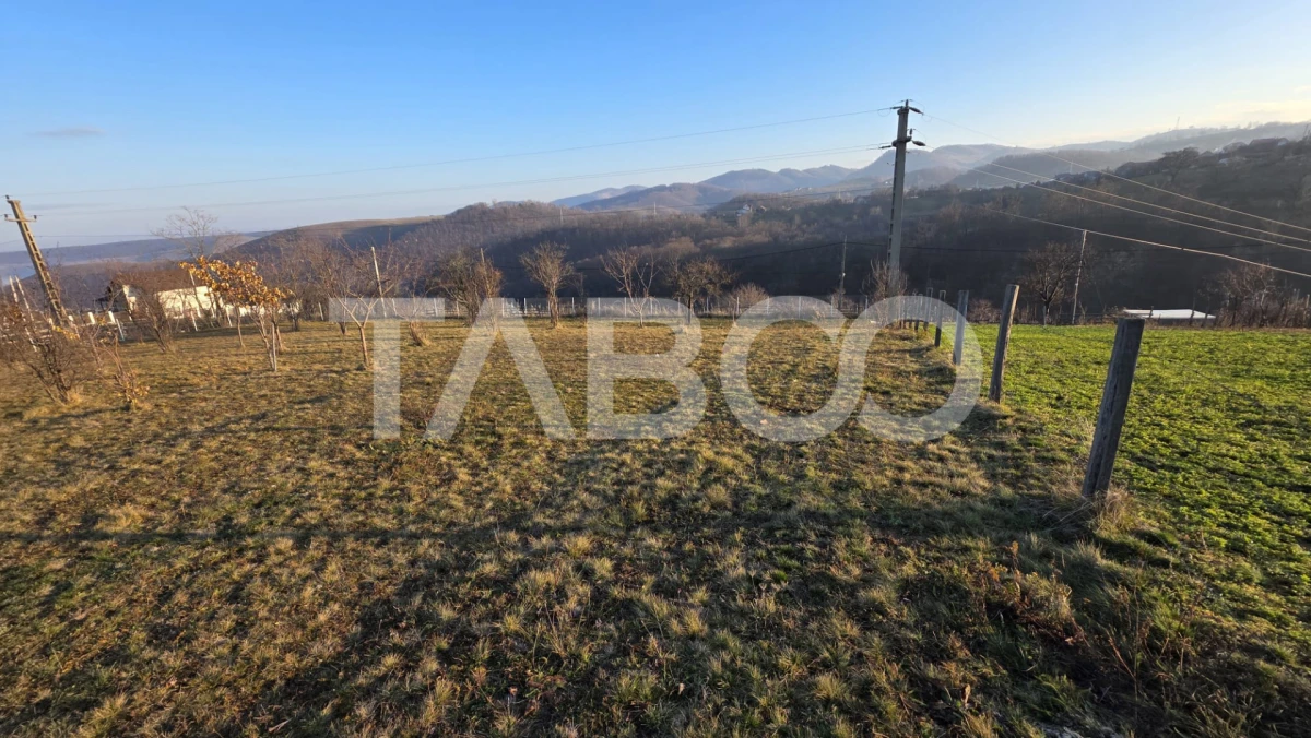 Teren 1974 mp intravilan de vanzare in Loman judetul Alba - 3