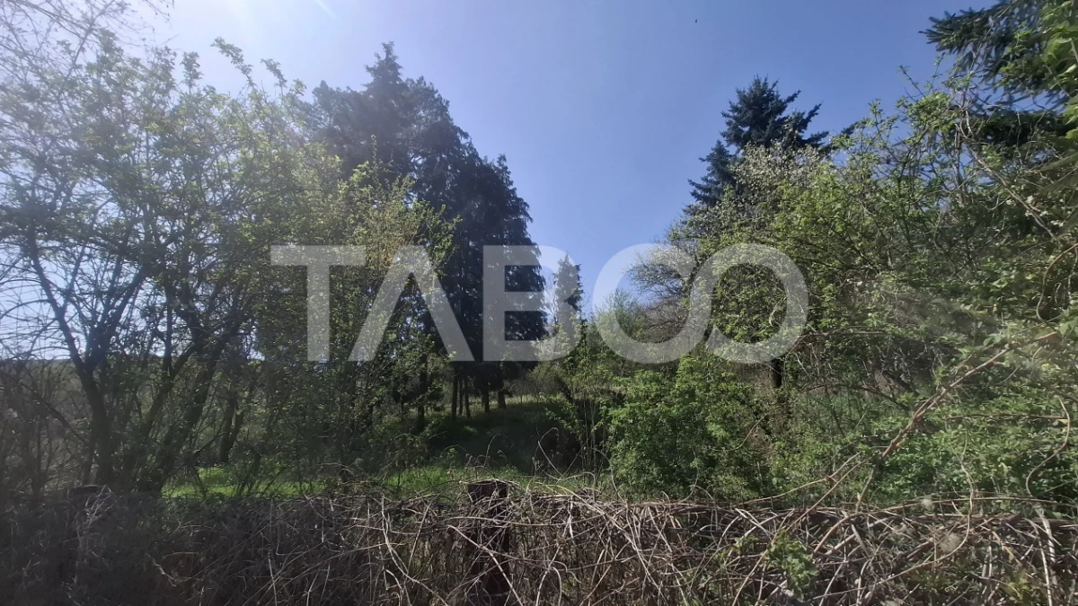 Teren intravilan de vanzare 2700 mp Slimnic Sibiu - 2