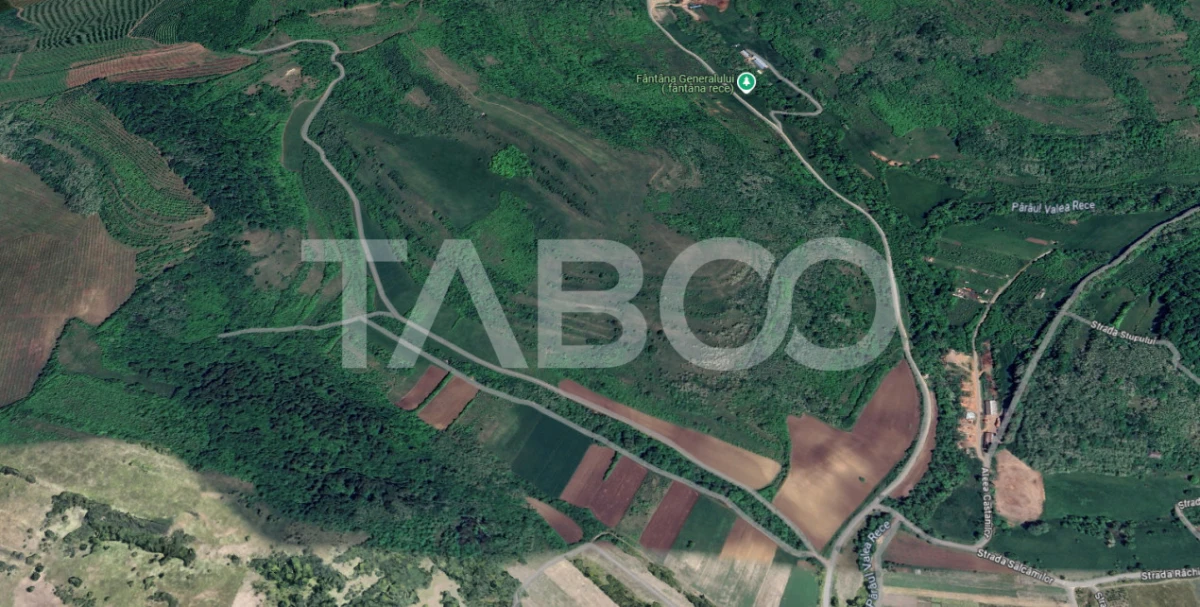 Teren extravilan de vanzare 10000 mp zona Gusterita - 2