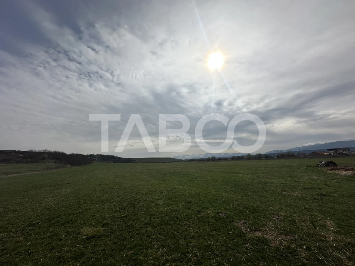 Teren 23.486 mp, deschidere 80 m, ideal comercial/industrial - 3