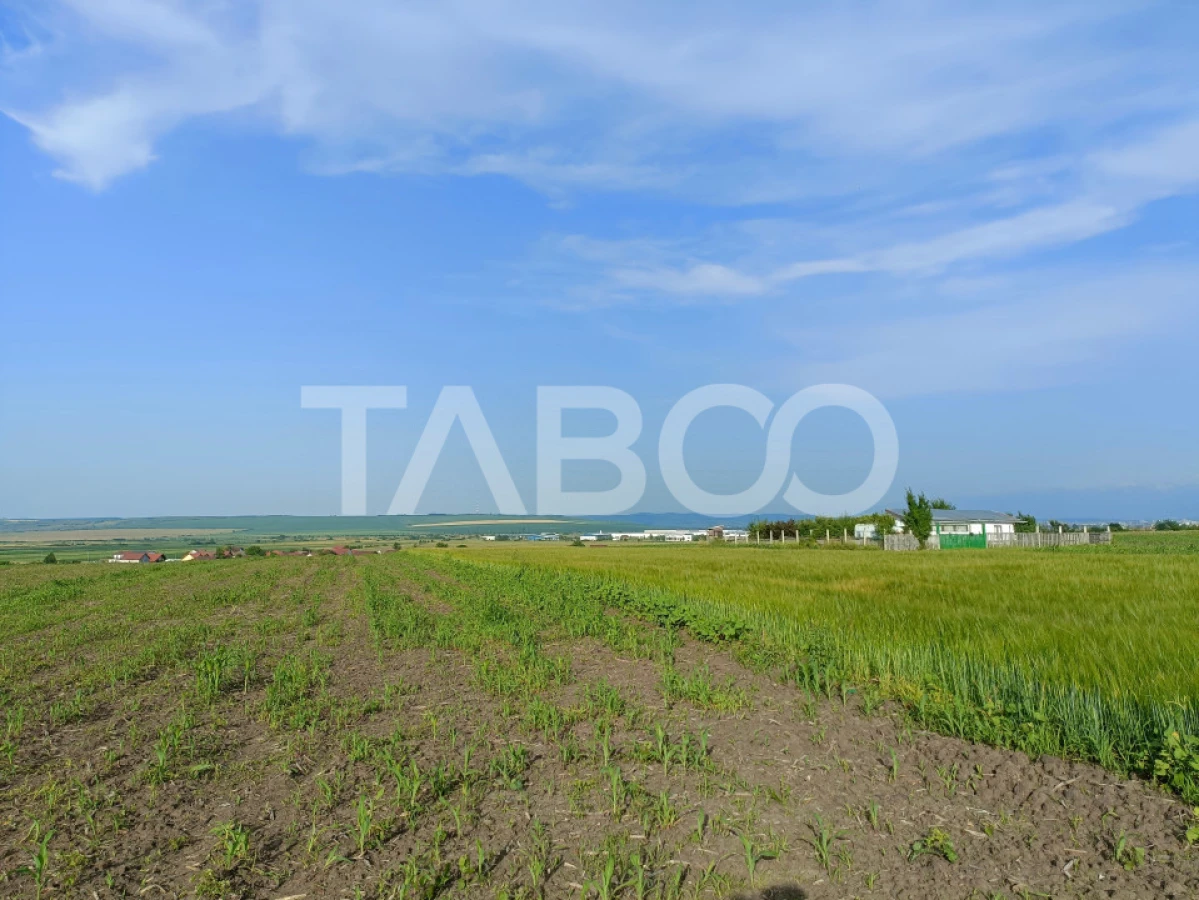 Teren 5000 mp in apropiere de case in Sura Mica - pretabil investitie - 1