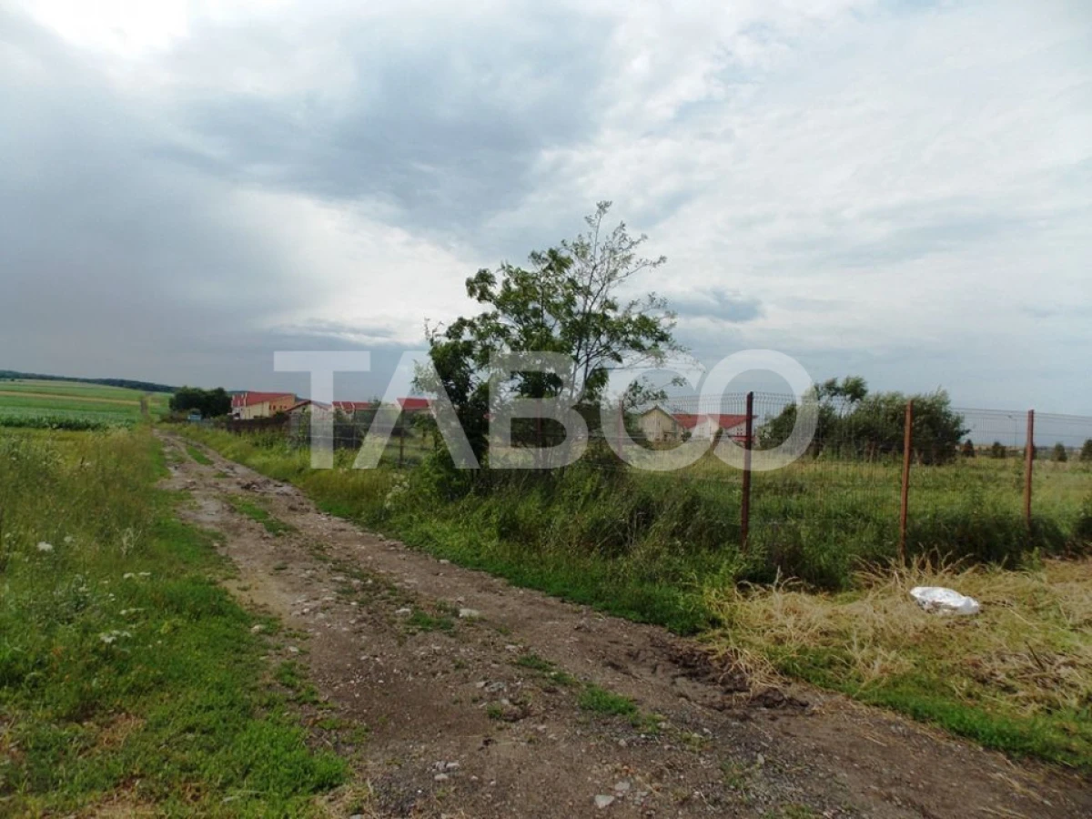 Teren de vanzare 10000 mp CF 107274 deschidere de 42 m in Sura Mica - 4