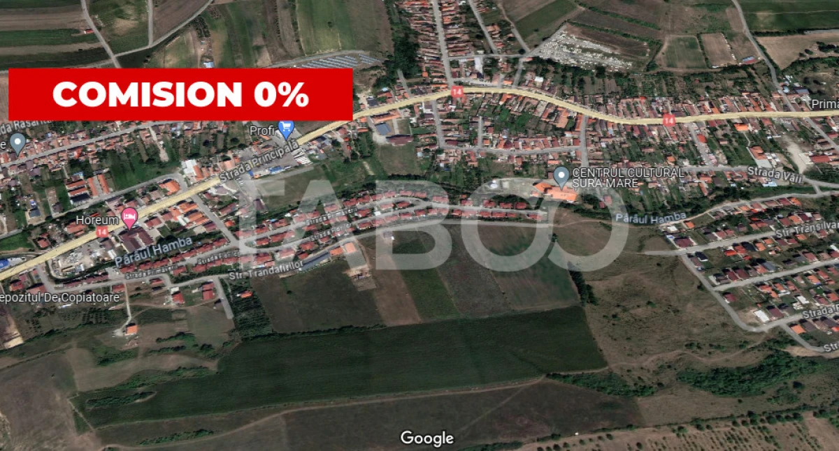 Oportunitate investitie teren 10000 mp Sura Mare - 1