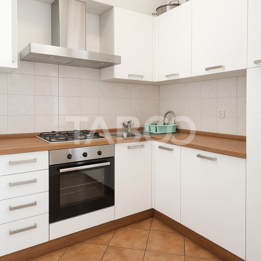 Bulevardul Victoriei - apartament 3 camere de vanzare curte garaj - 10