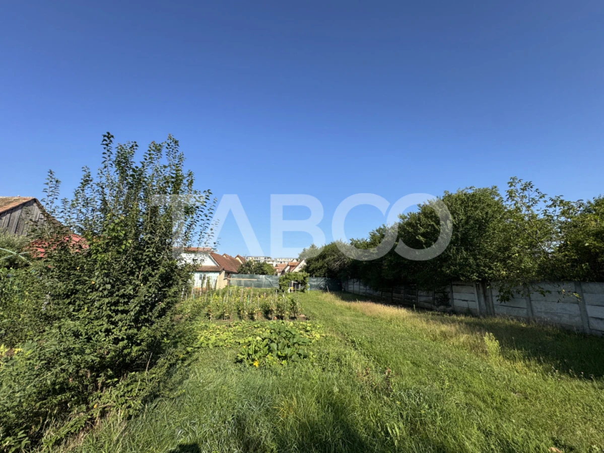 Teren intravilan 4783 mp cu toate utilitatile Turnisor Sibiu - 3