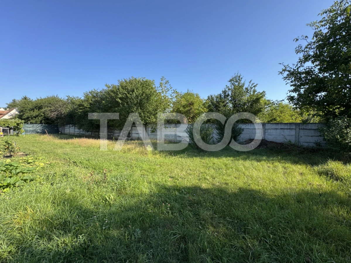 Teren intravilan 4783 mp cu toate utilitatile Turnisor Sibiu - 1