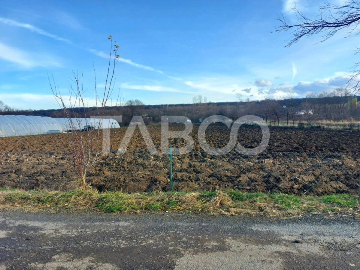 Teren intravilan 1687 mp pentru cabana zona de gradini Cisnadie - 4