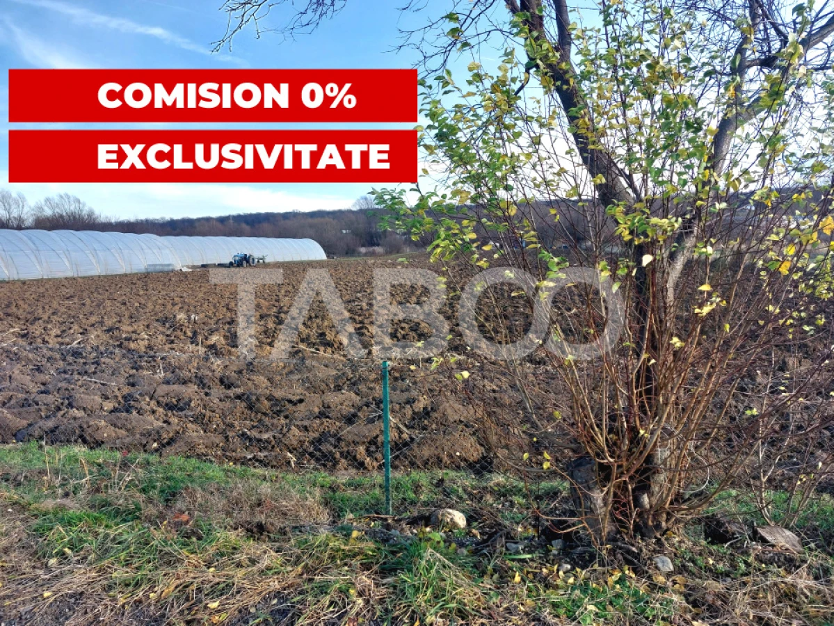 Teren intravilan 1687 mp pentru cabana zona de gradini Cisnadie - 1