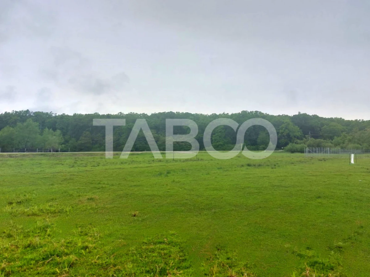 Teren intravilan 712 mp PUZ APROBAT aproape de DJ zona Versailles - 5