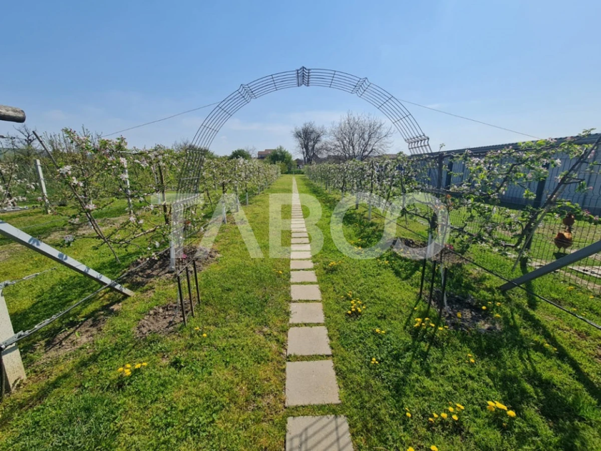 Vila cu piscina de vanzare in Sebes zona centrala - 9