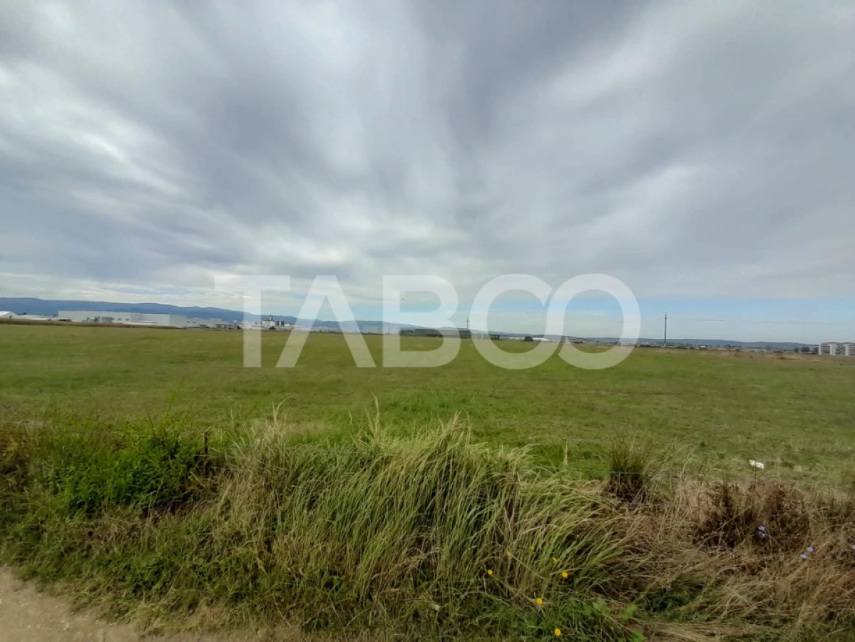 Teren intravilan 2 fronturi de 35 m fiecare 8.000 mp Turnisor Sibiu - 4