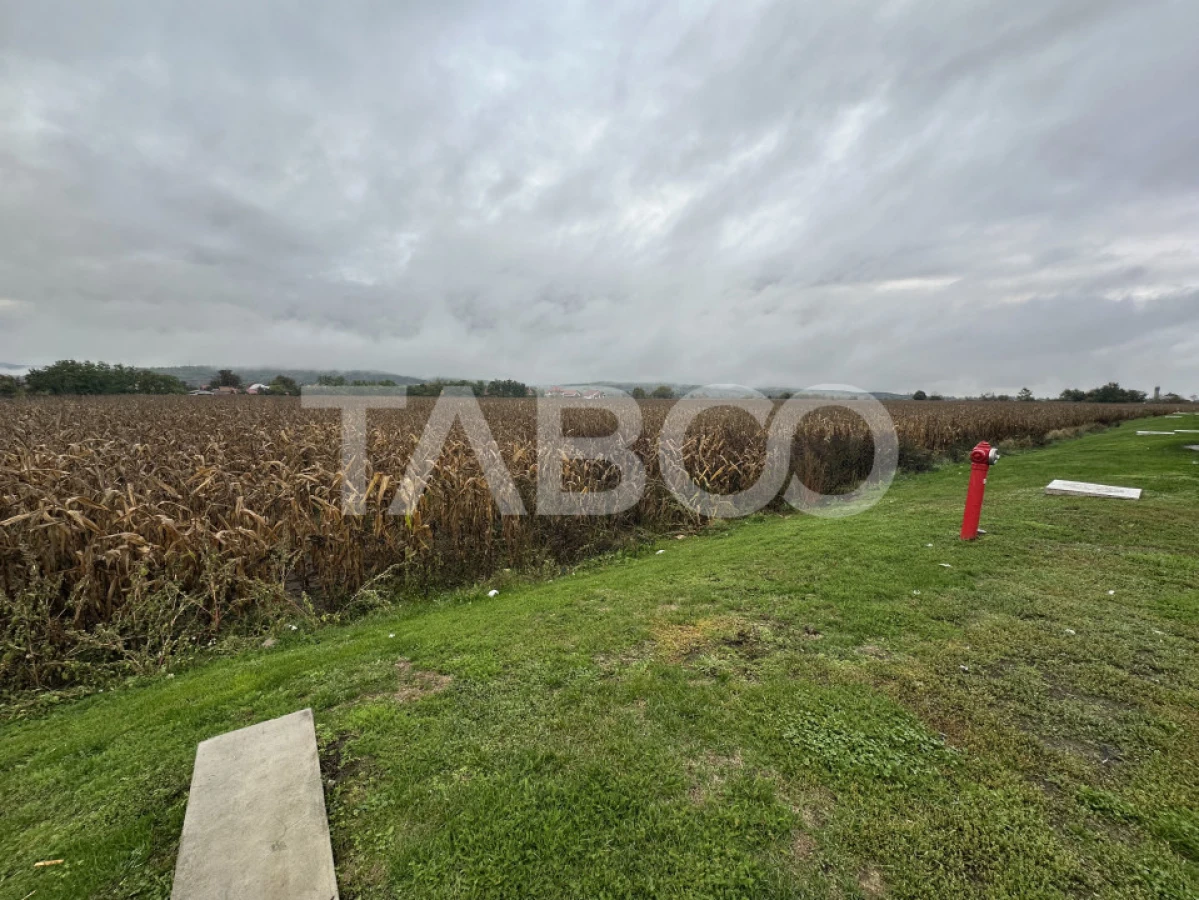 Teren intravilan de vanzare 8000 mp cu utilitati in apropiere - 4