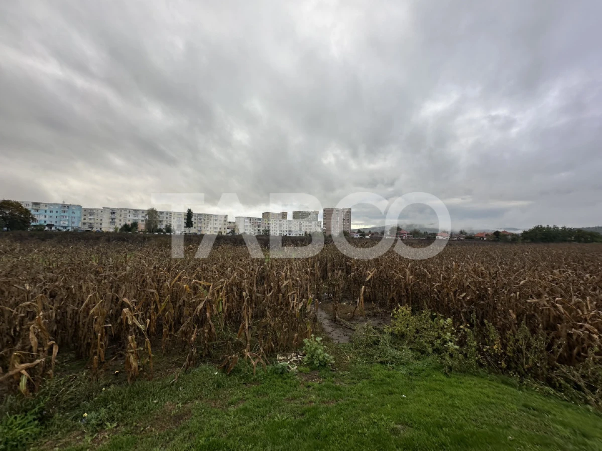 Teren intravilan de vanzare 8000 mp cu utilitati in apropiere - 2