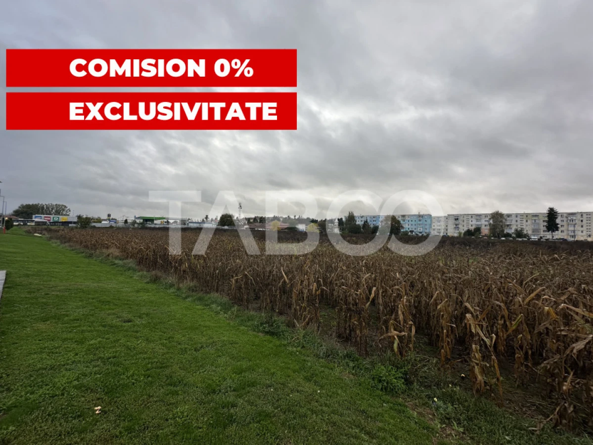 Teren intravilan de vanzare 8000 mp cu utilitati in apropiere - 1