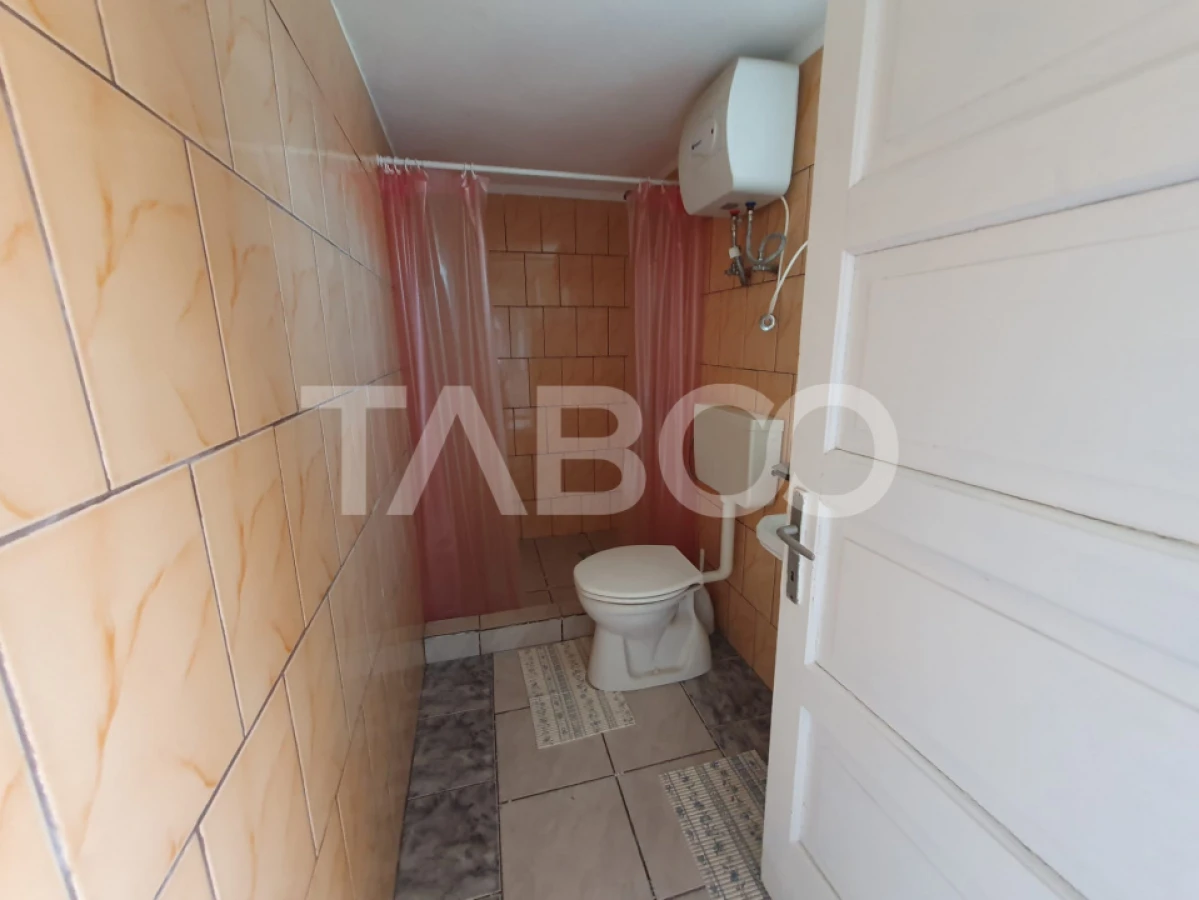 Moara + casa de locuit 375 mp utili 7350 mp teren intravilan - 6