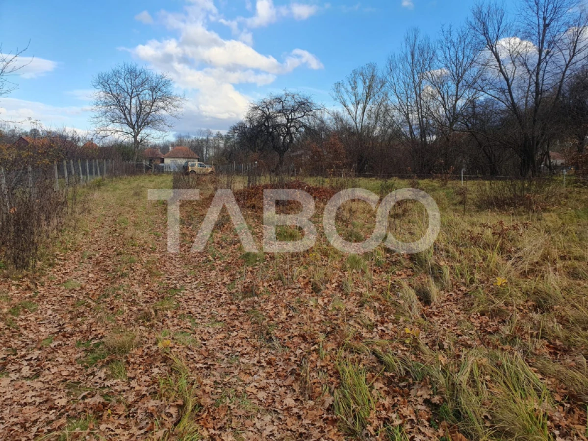 Comision 0 % Teren intravilan 2 cai de acces 3100 mp Savastreni - 3