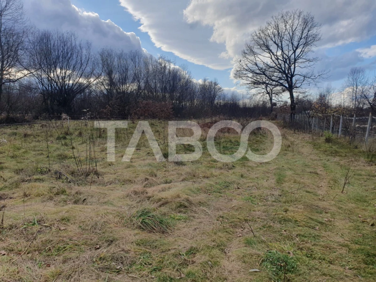 Comision 0 % Teren intravilan 2 cai de acces 3100 mp Savastreni - 2