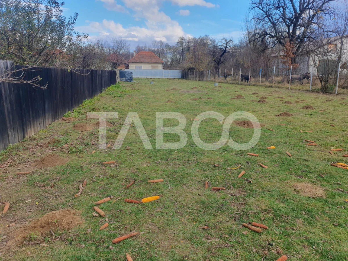 Comision 0 % Teren intravilan 2 cai de acces 3100 mp Savastreni - 1