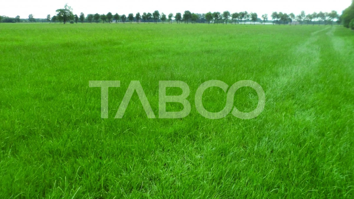 Teren intravilan deschidere 35 ml 7000mp in zona Industrial Vest Sibiu - 2