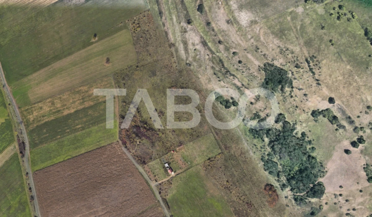 Teren extravilan de vanzare 4496 mp constructie cabana Gusterita Sibiu - 1