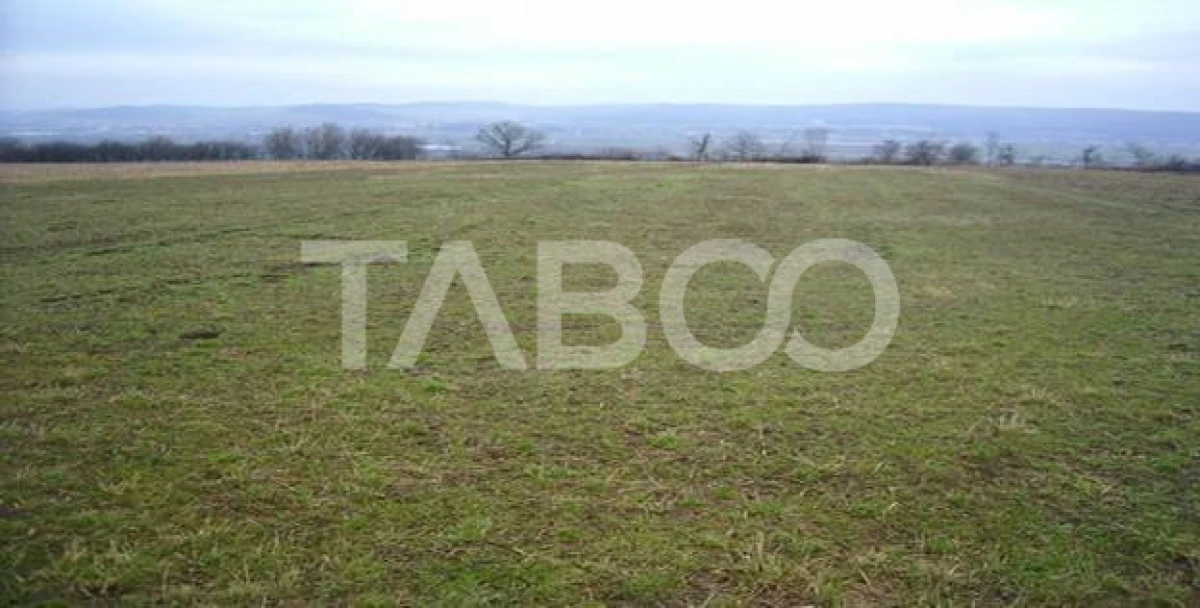 Teren 3000 mp intravilan langa Arka Parc si Arena Platos in Paltinis - 2