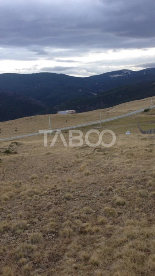 De vanzare teren extravilan 3854 mp acces auto Paltinis Sibiu - 2