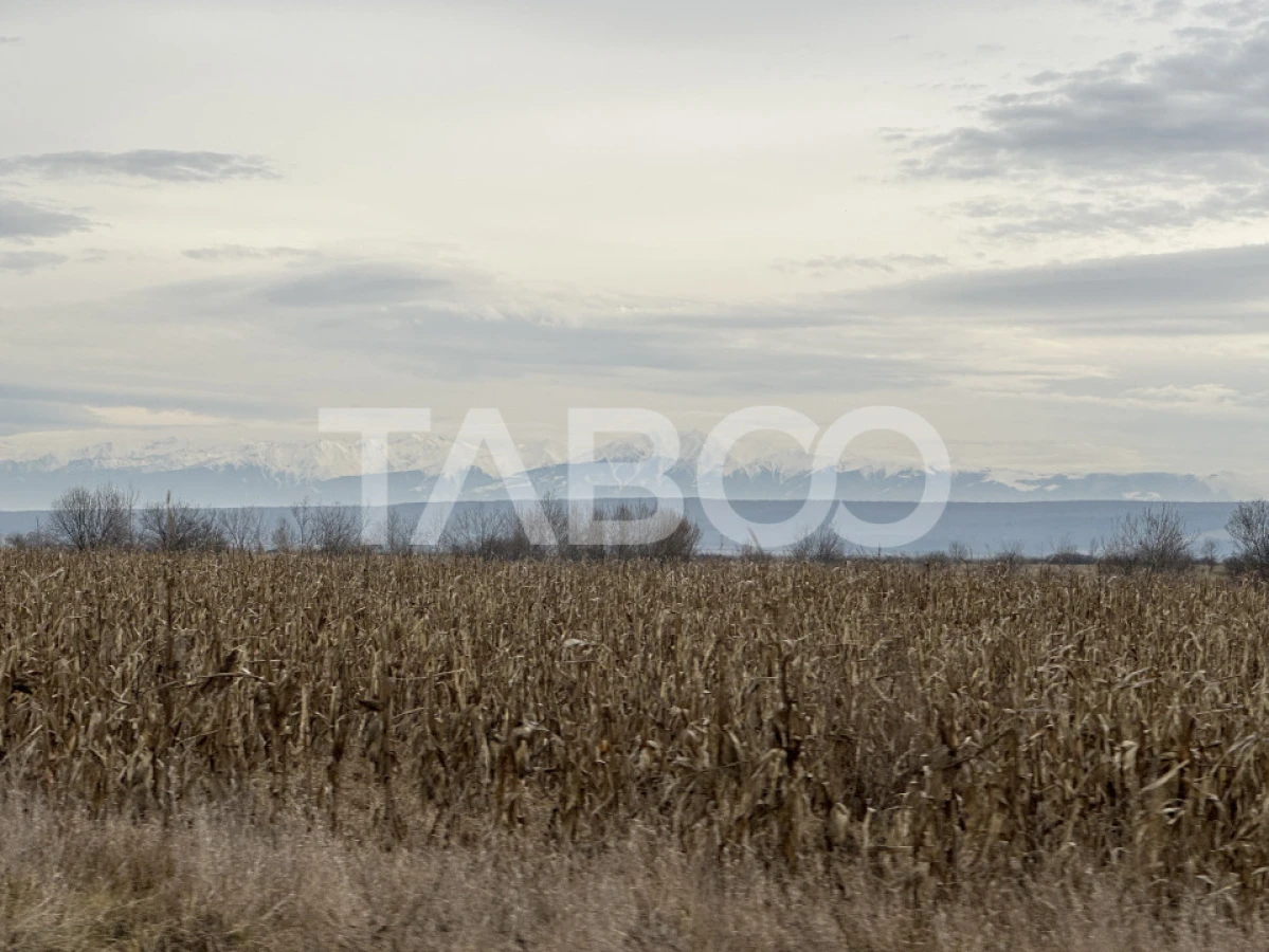 Teren pretabil investitie 3611 mp de vanzare in Cristian judetul Sibiu - 2