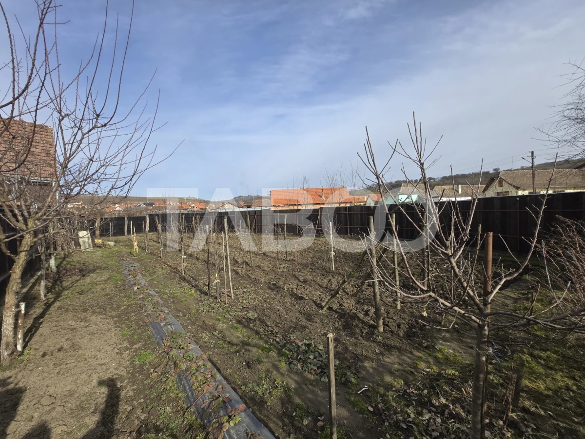 COMISION 0 Casa de vanzare 118mp 5 camere curte 1597mp Vurpar Sibiu - 8