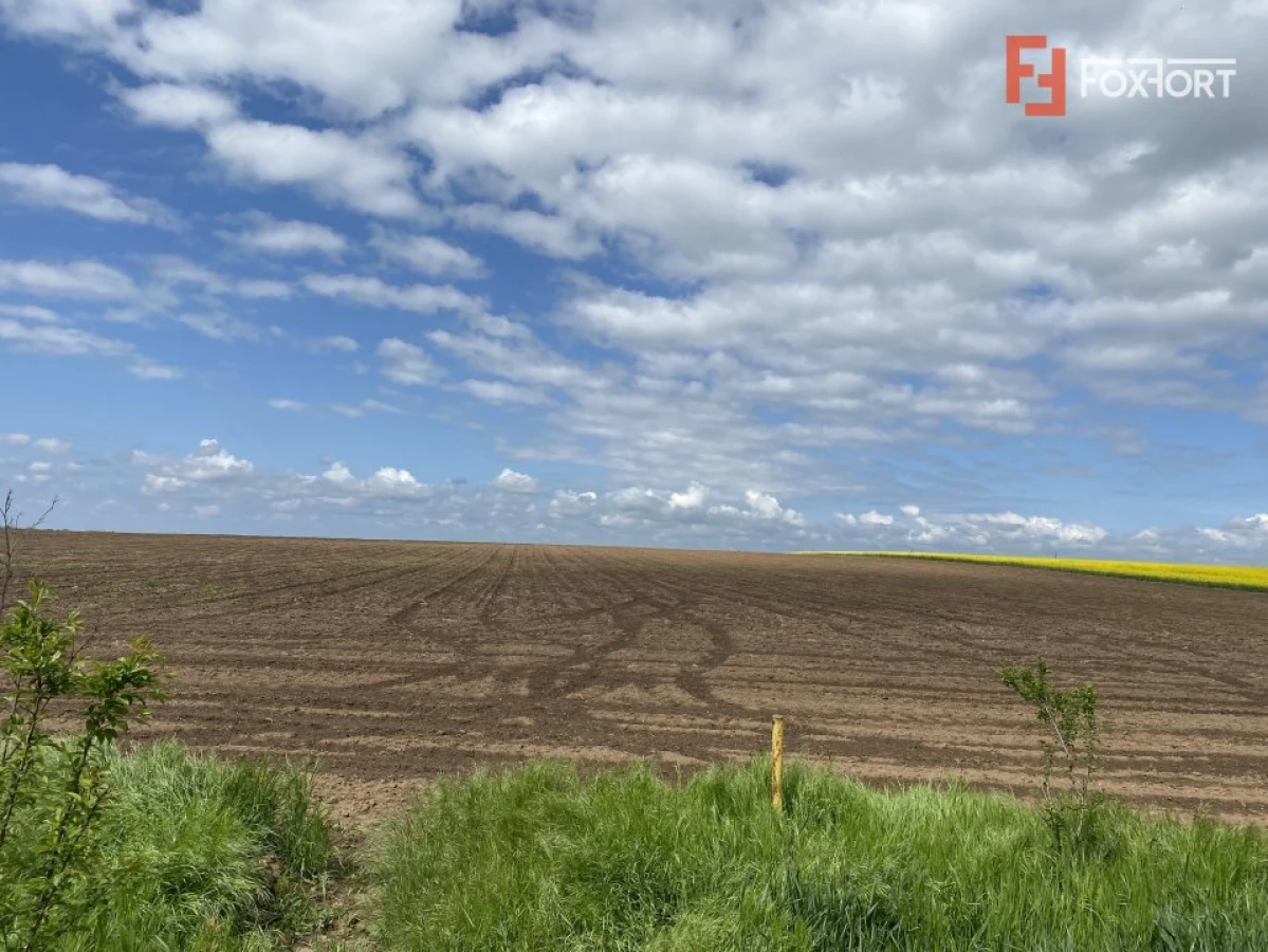 Teren Agricol | Opurtunitate investitie | Sananadrei - ID V713 - 5