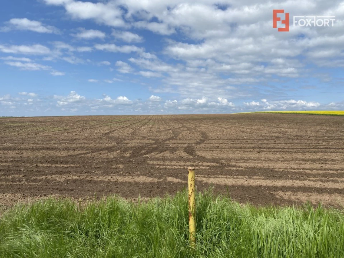 Teren Agricol | Opurtunitate investitie | Sananadrei - ID V713 - 4