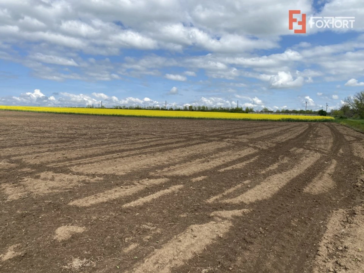 Teren Agricol | Opurtunitate investitie | Sananadrei - ID V713 - 3