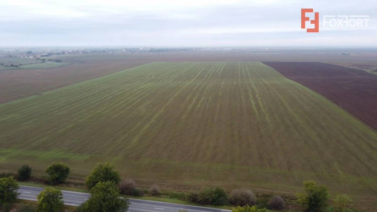 Teren Agricol | Opurtunitate investitie | Sananadrei - ID V713 - 2