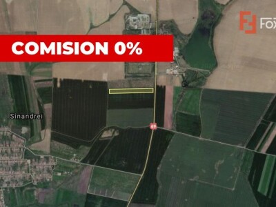 Teren Agricol | Opurtunitate investitie | Sananadrei - ID V713