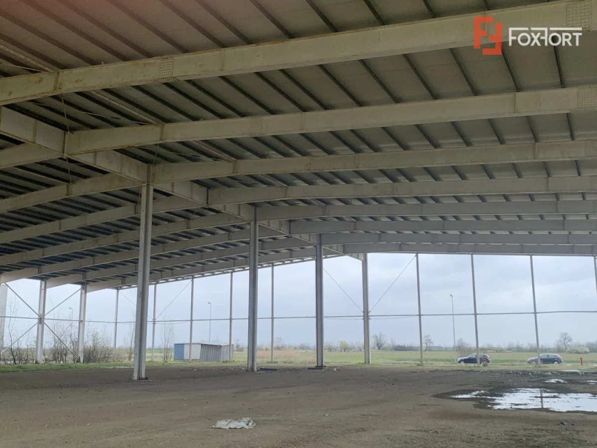 COMISION 0% Hala industriala 5500 mp utili zona de Nord Timisoara - ID V5143 - 9