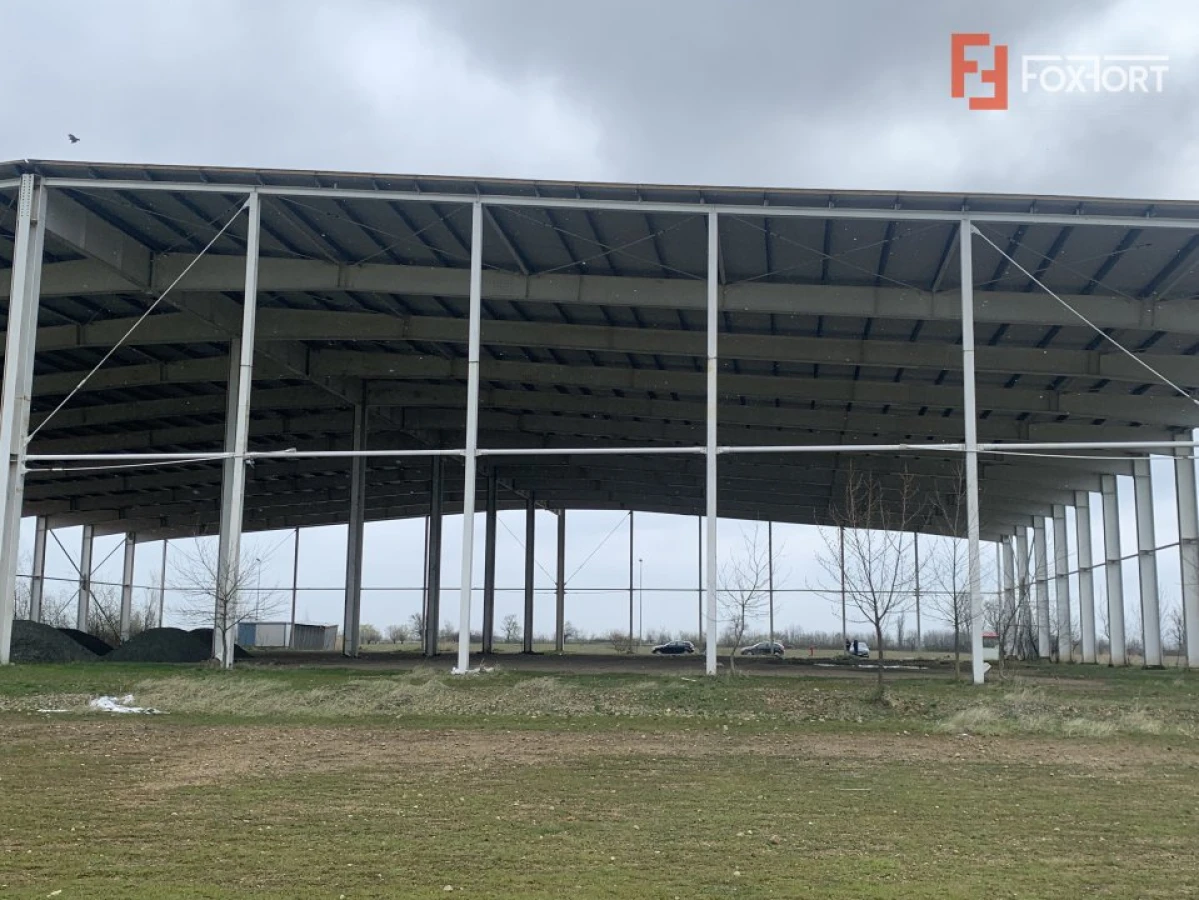 COMISION 0% Hala industriala 5500 mp utili zona de Nord Timisoara - ID V5143 - 5