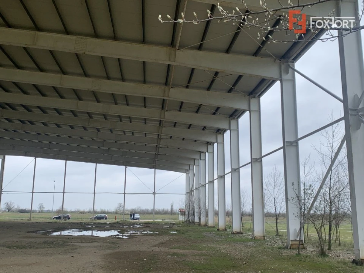 COMISION 0% Hala industriala 5500 mp utili zona de Nord Timisoara - ID V5143 - 4