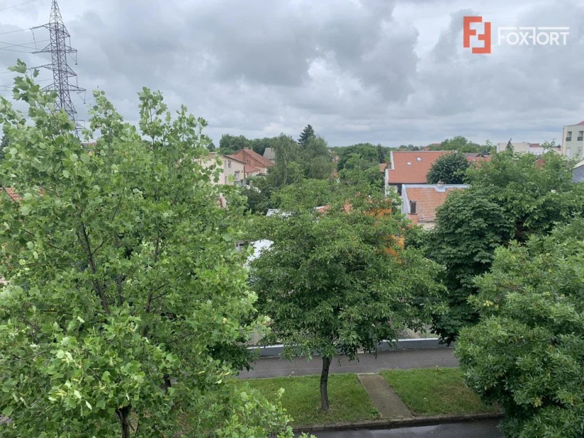 Apartament 3 camere cu semineu, Bogdanestilor - ID V5358 - 6