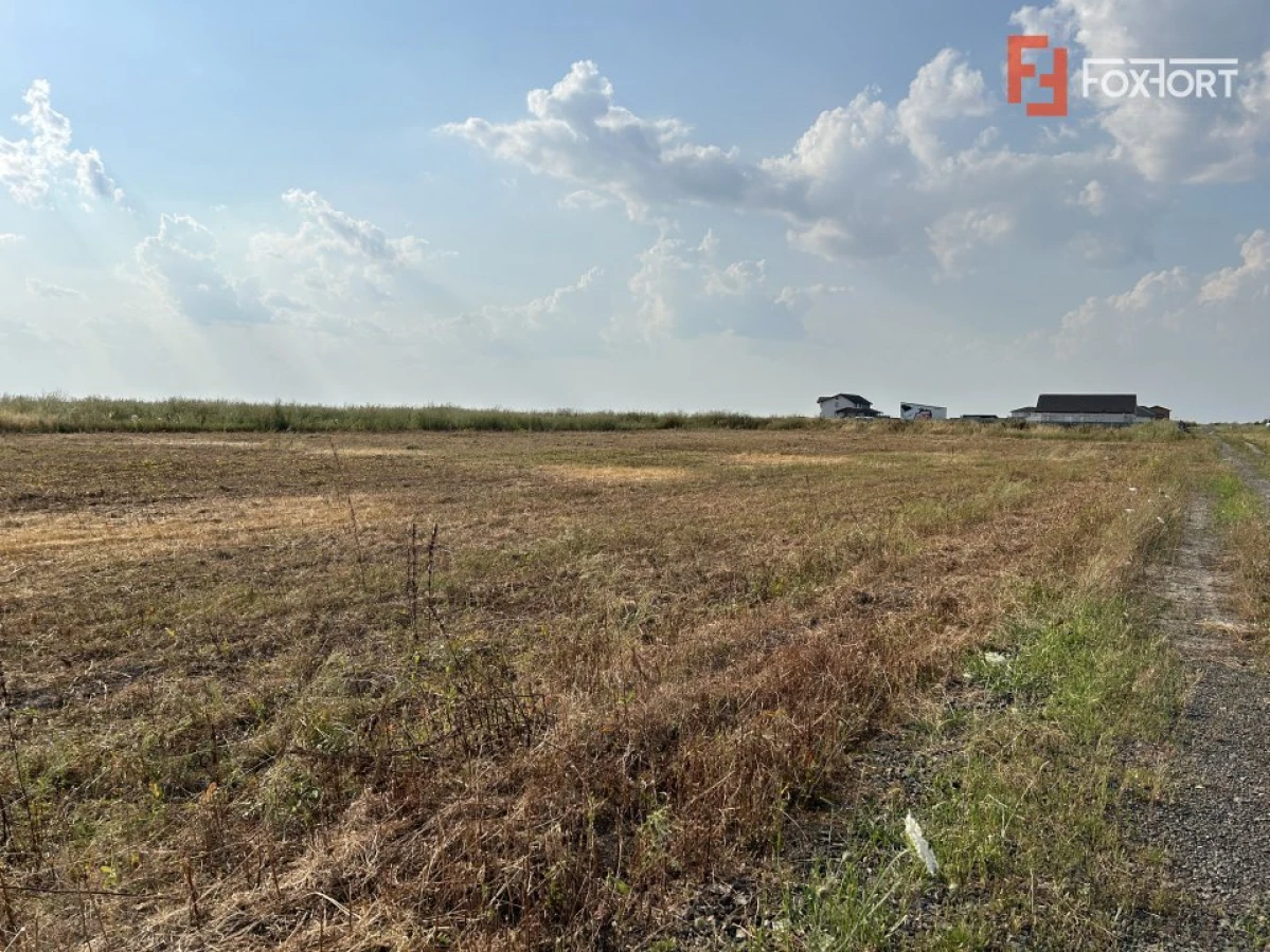 Parcele teren de vanzare in Sanandrei - ID V5451 - 3