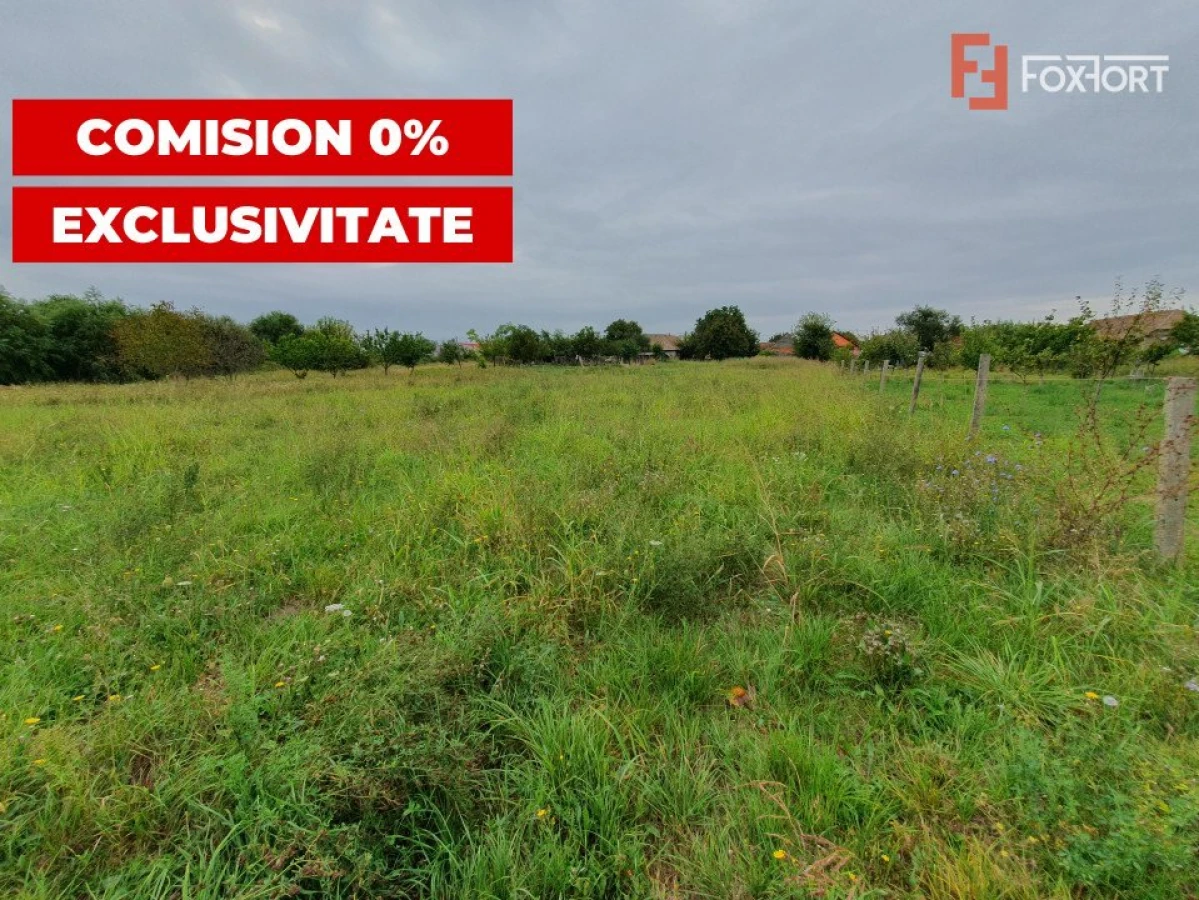 COMISION 0% Teren intravilan 2978 mp la sosea | Sanmihaiu German - ID V5613 - 1