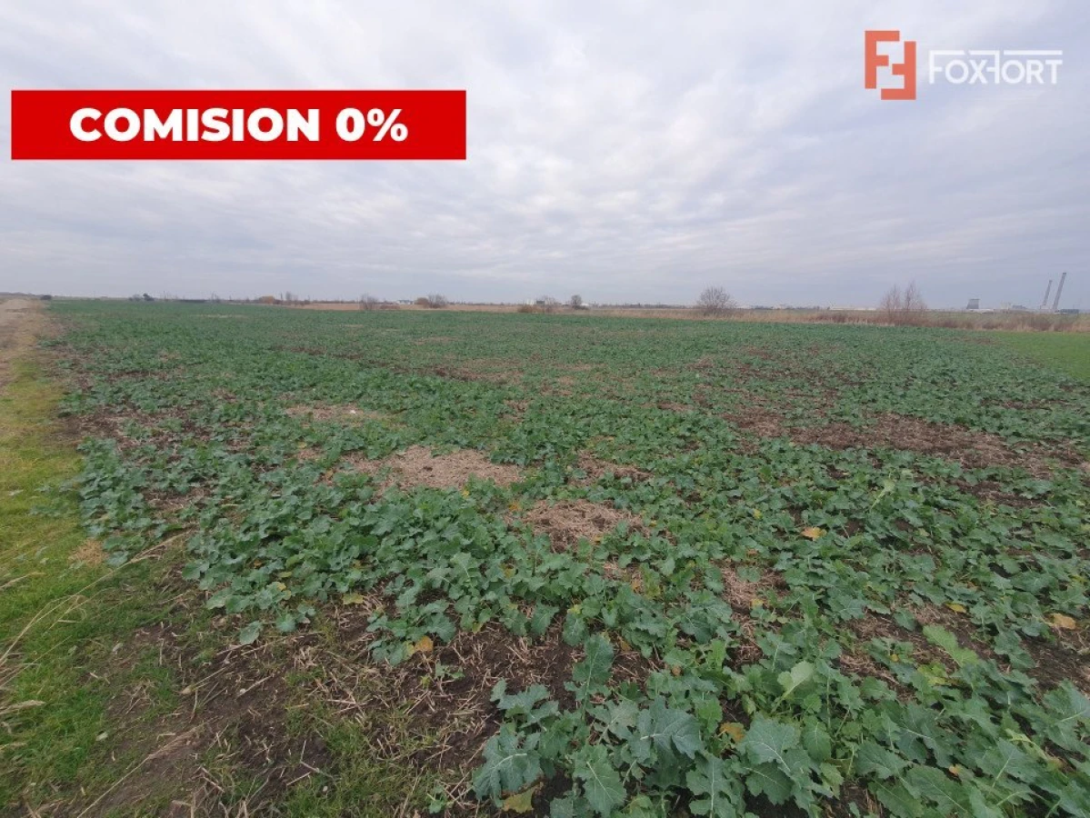 Comision 0% Teren industrial, 7 ha, intravilan, Calea Sagului - 4