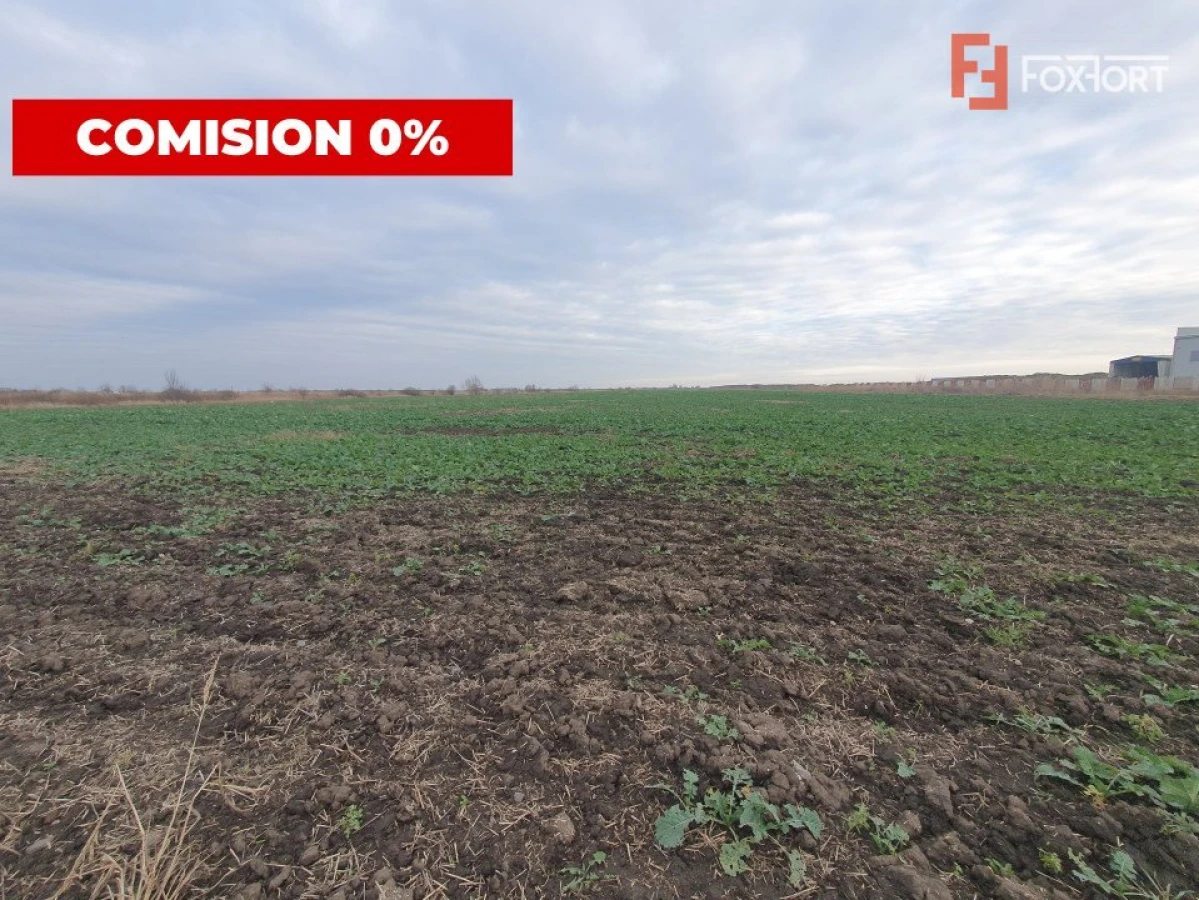 Comision 0% Teren extravilan agricol 21,32 ha sau intravilan cu PUZ aprobat - 8