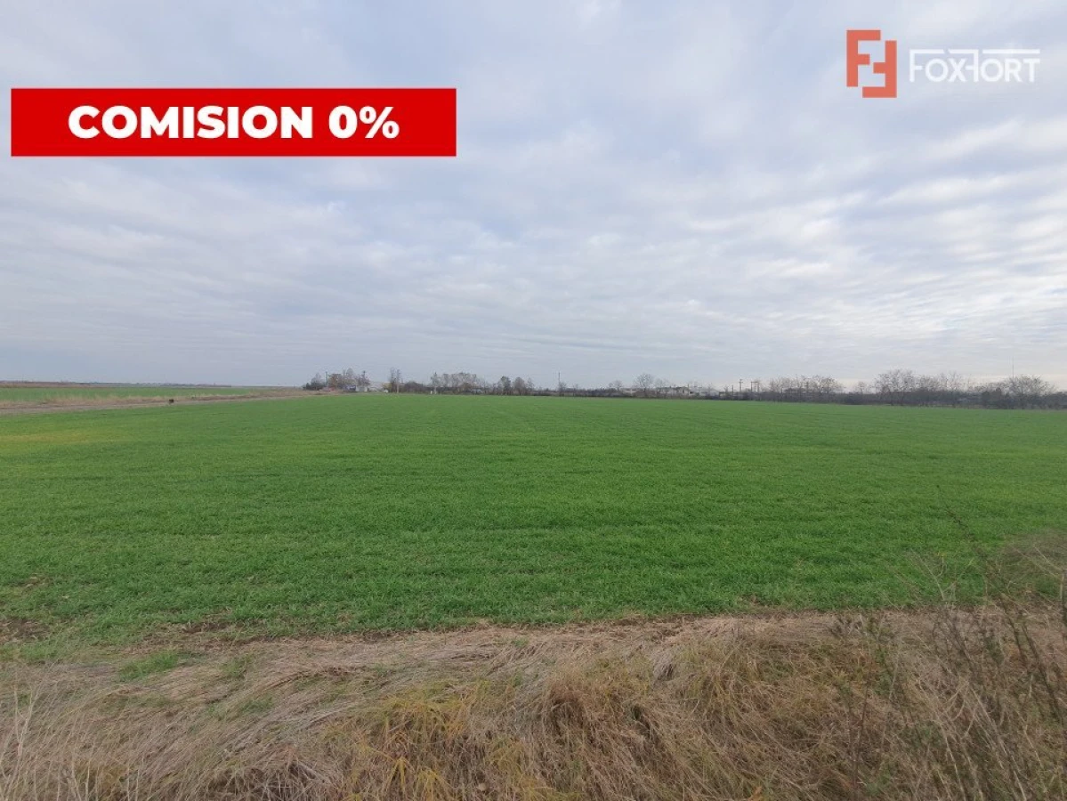 Comision 0% Teren extravilan agricol 21,32 ha sau intravilan cu PUZ aprobat - 2