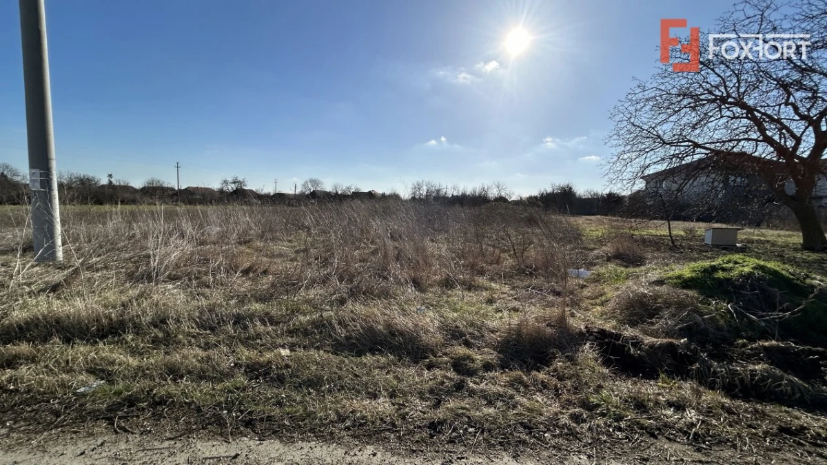 Teren intravilan, ideal pentru constructii case Sanandrei - 2