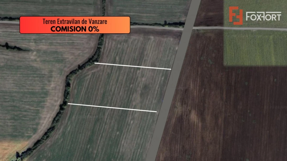 COMISION 0% Teren extravilan de vanzare in Sacalaz - 2