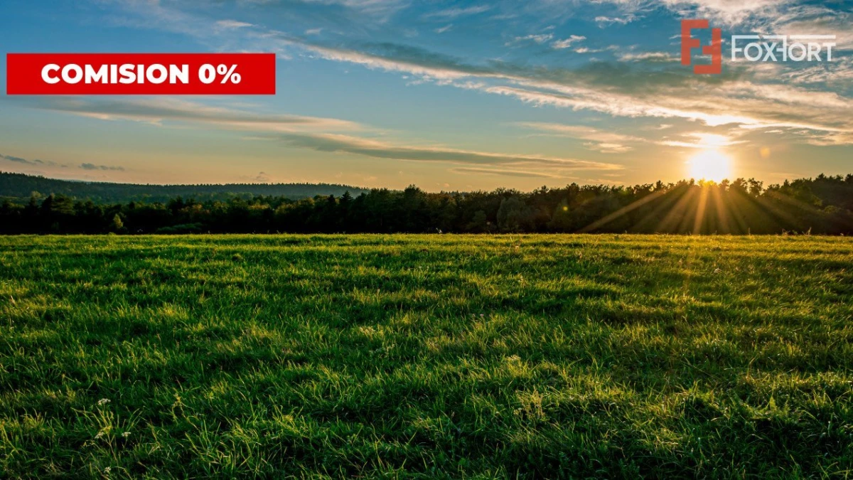 COMISION 0%-Teren de vanzare in Sacalaz - Pretabil constructii, front 24m - 3