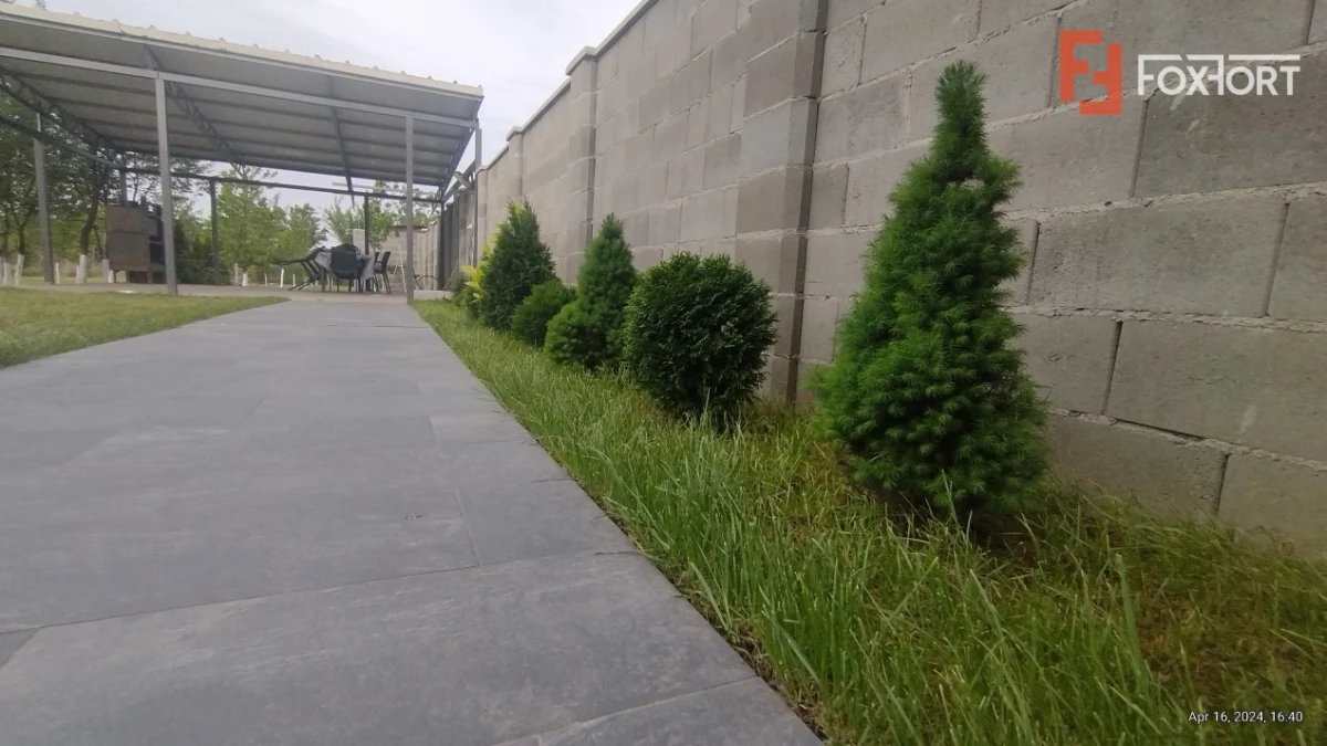 Duplex 5 camere, mobilat - utilat, Timisoara - Zona Lipovei - 4