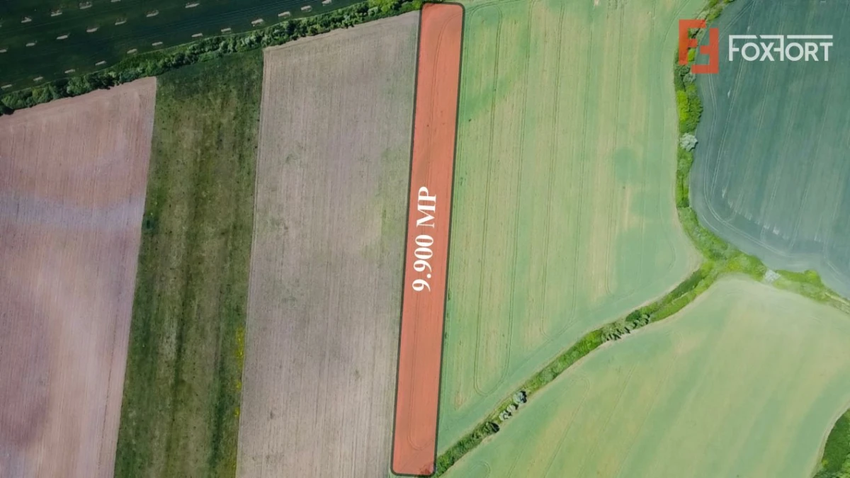 COMISION 0% Oportunitate de investitie in Sacalaz: Teren Extravilan de 9.900MP - 3