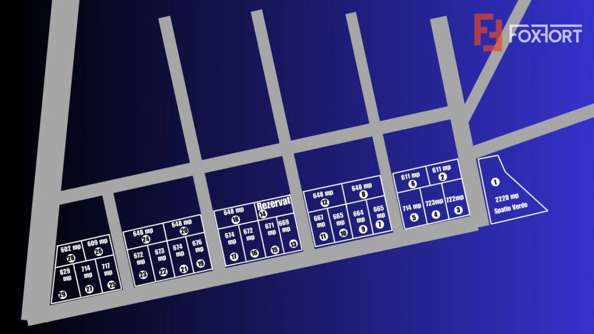 Teren intravilan in Sacalaz - Oportunitate de investitie - 5